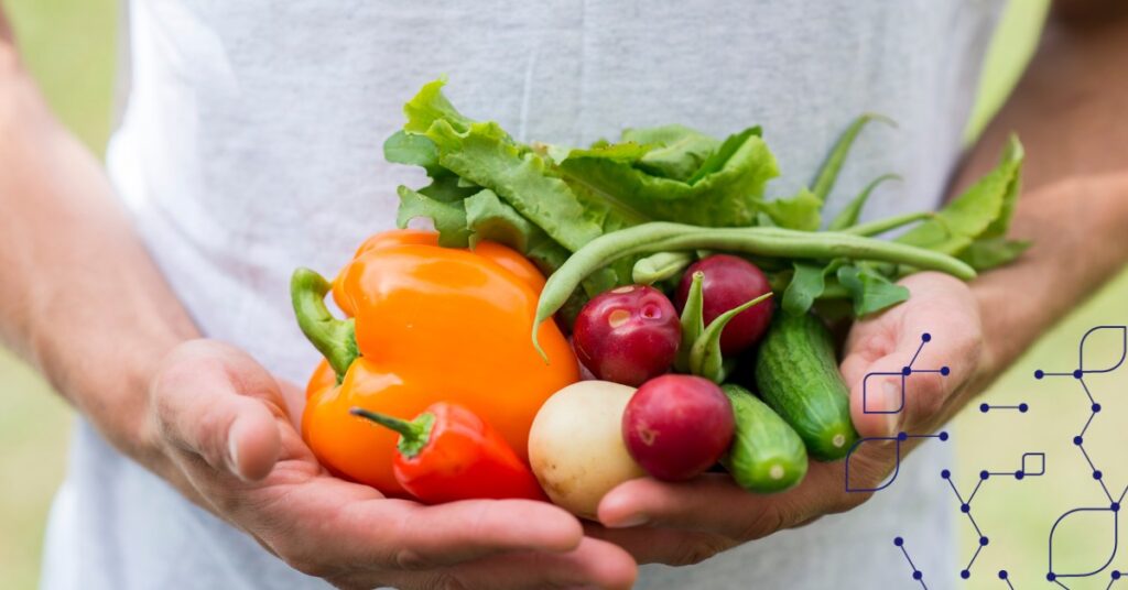 blockchain food traceability